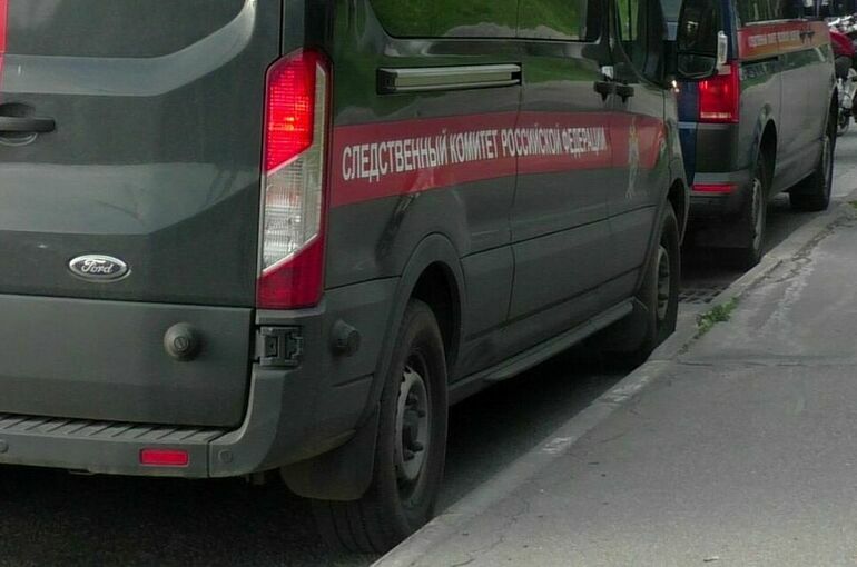 В ЯНАО возбудили уголовное дело после стрельбы из пневматики в школе