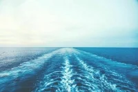 Россияне на круизном лайнере объявили голодовку из-за отмены захода в Антарктиду