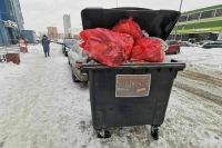 Функции по содержанию мусорных площадок предложили передавать регоператорам