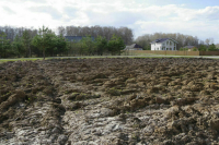 Сенаторы одобрили поправки о передаче права аренды на землю в залог