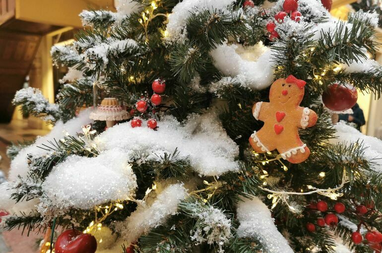 Врачи рассказали о случаях аллергии на новогоднюю елку