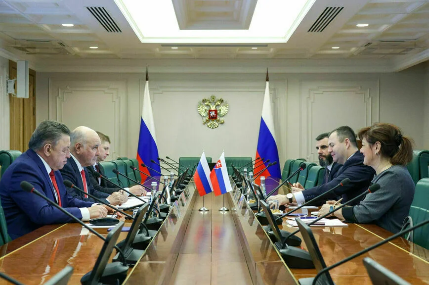 Большой парадокс: что поразило в России депутатов из Словакии