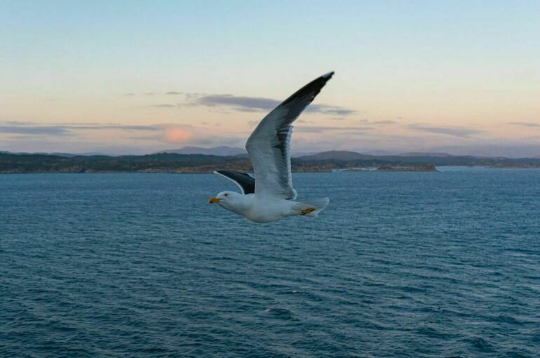 Роспотребнадзор: В Крыму и Краснодарском крае отклонений от гигиенических норм нет