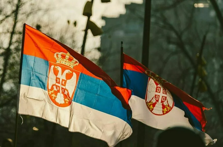 Спикер парламента Сербии заявила о сохранении правящей партией стабильного большинства