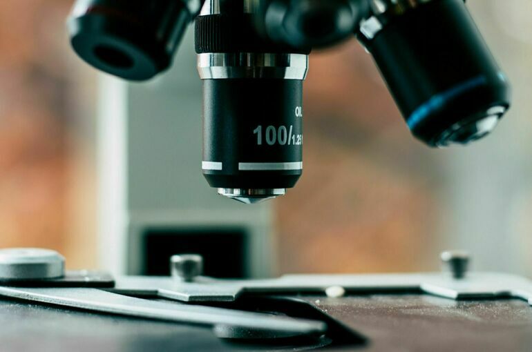 В России будут готовить специалистов по селекции и генетике сельхозрастений