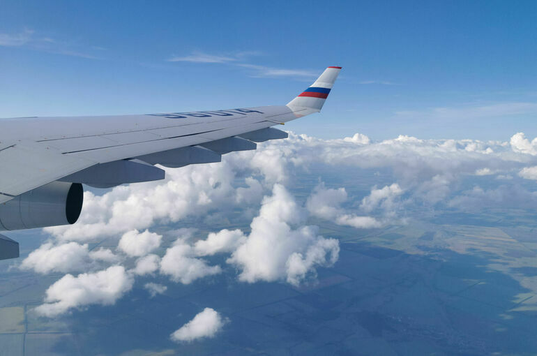 Авиакомпании хотят обязать предоставлять инвалидам удобные места в самолетах