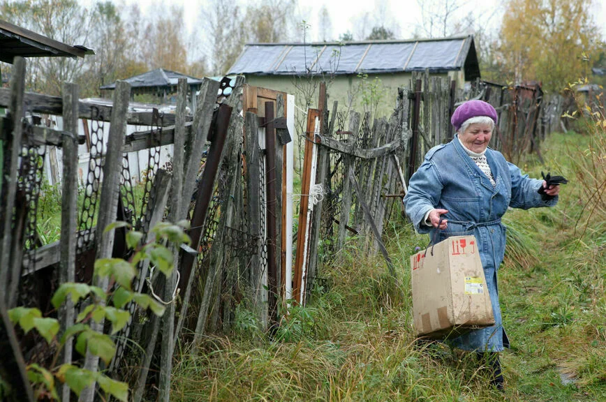 Заброшенные садовые участки могут поменять собственника