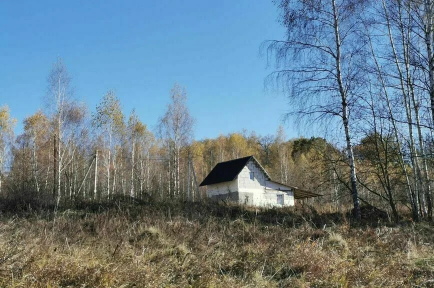 Заброшенные садовые участки могут поменять собственника