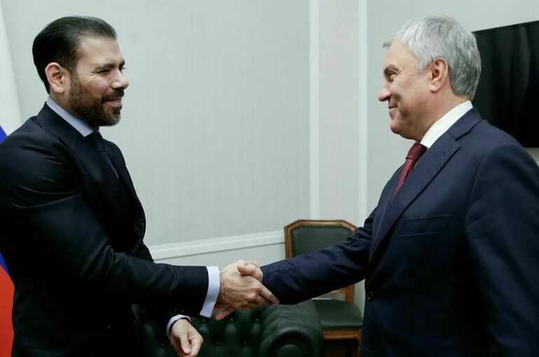 Володин встретился со спецпредставителем президента Никарагуа по вопросам отношений с РФ