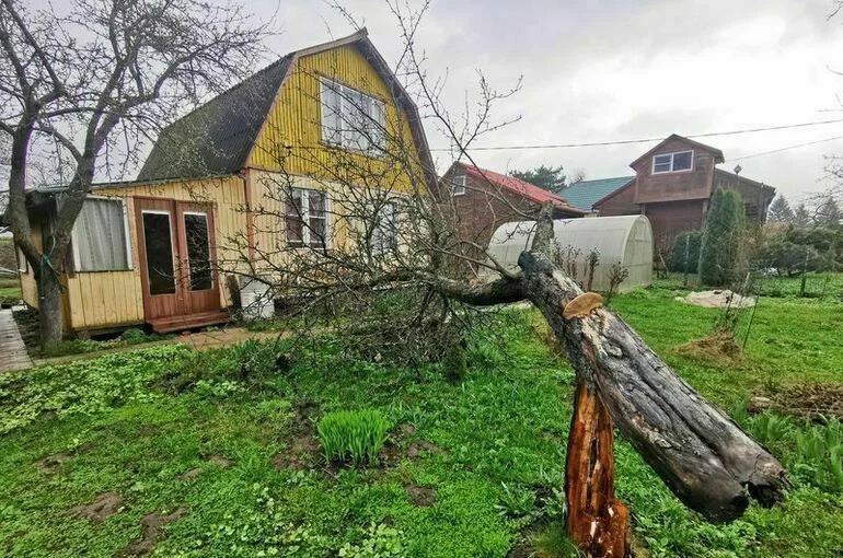 Семьям погибших судебных приставов оплатят ремонт дома