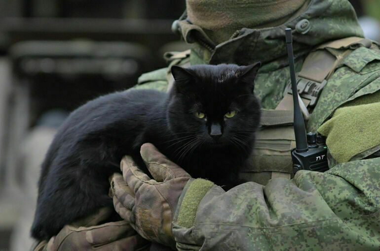 Участник СВО рассказал, зачем иностранные боевики выдают себя за русских в Курской области