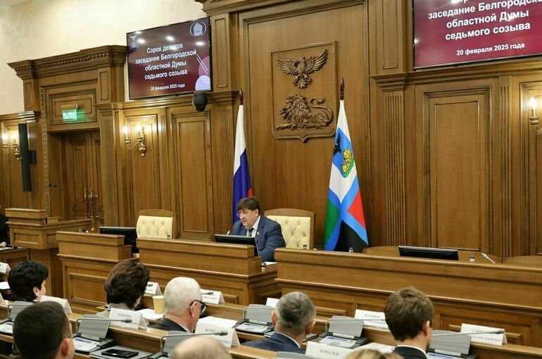 Белгородские парламентарии приняли ряд законов, касающихся здоровья молодежи