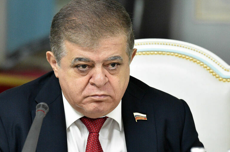 Сенатор считает, что за нападением на консульство РФ в Марселе может стоять Киев