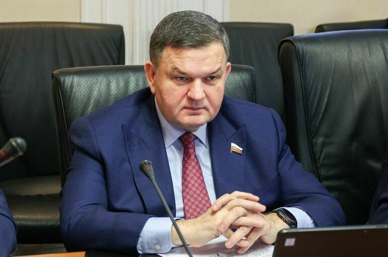 Сенатор Перминов назвал интересными итоги досрочных выборов в Германии