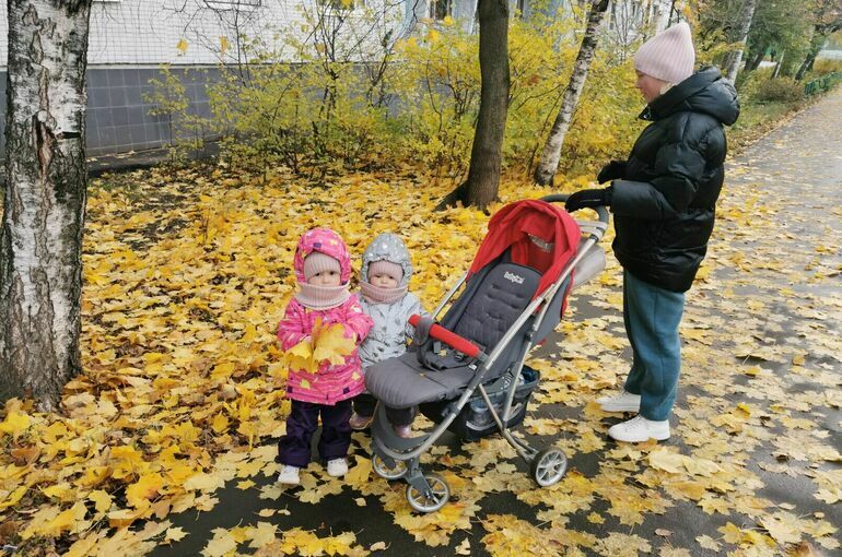 Бюджетный комитет Совфеда поддержал продление программы маткапитала