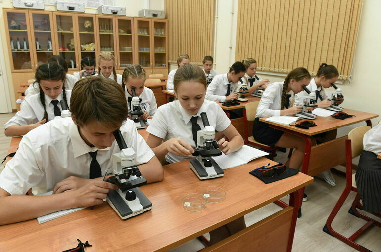 Власти Воронежской области предложили расширить субсидирование агроклассов