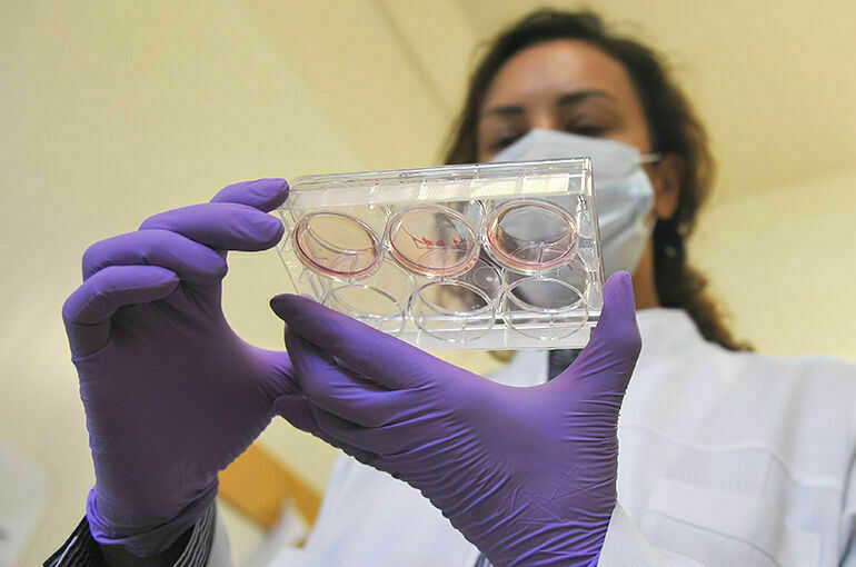 Сыграть на опережение