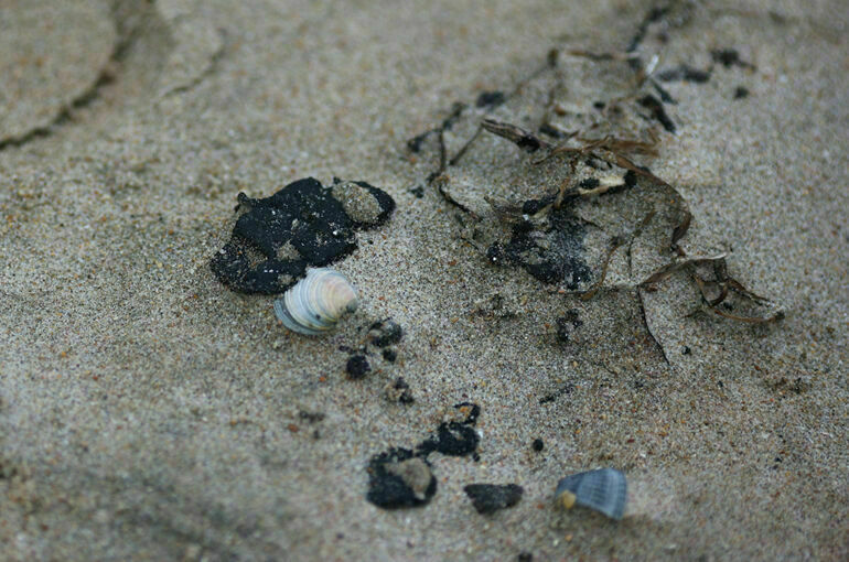 На пляжах Краснодарского края нашли новые выбросы мазута