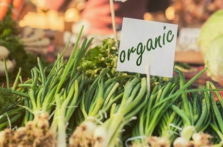 В Роскачестве рассказали, где продается 90% псевдоорганических продуктов