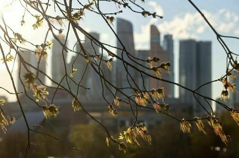 Синоптик: Метеорологическая весна может прийти в Москву после 10 марта