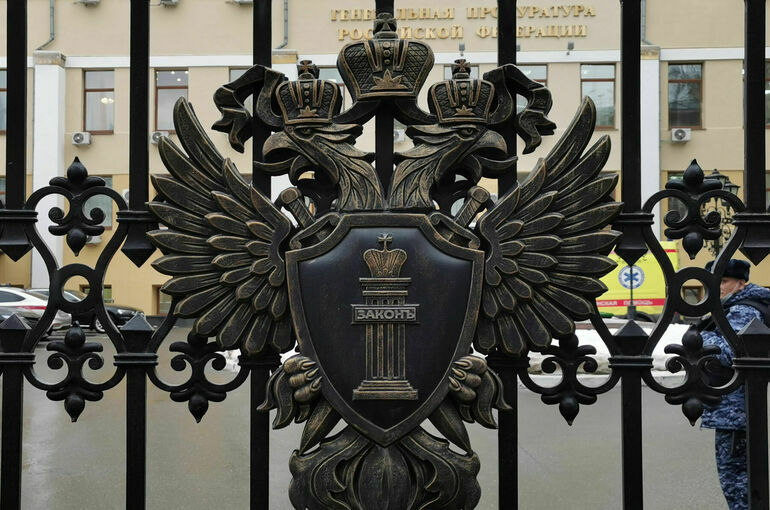 Генпрокуратура признала нежелательными две европейские организации за антироссийскую позицию