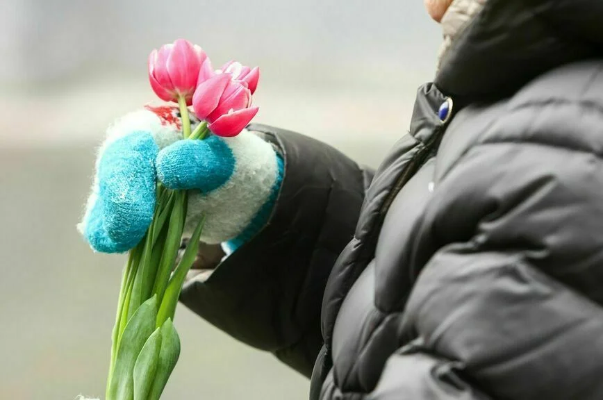 Тюльпаны и розы сильнее всего подорожают к 8 Марта