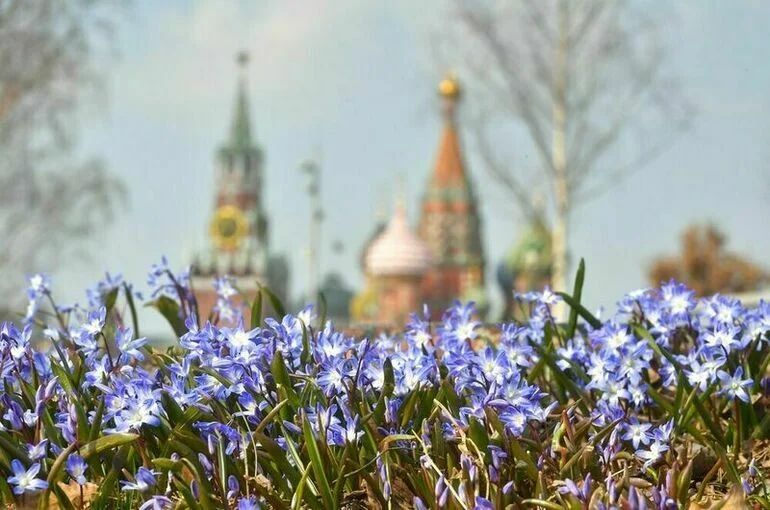 Синоптик Позднякова: В марте в целом температура будет выше климатической нормы
