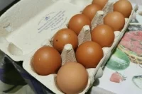 Россия сократила импорт куриных яиц за счет роста производства