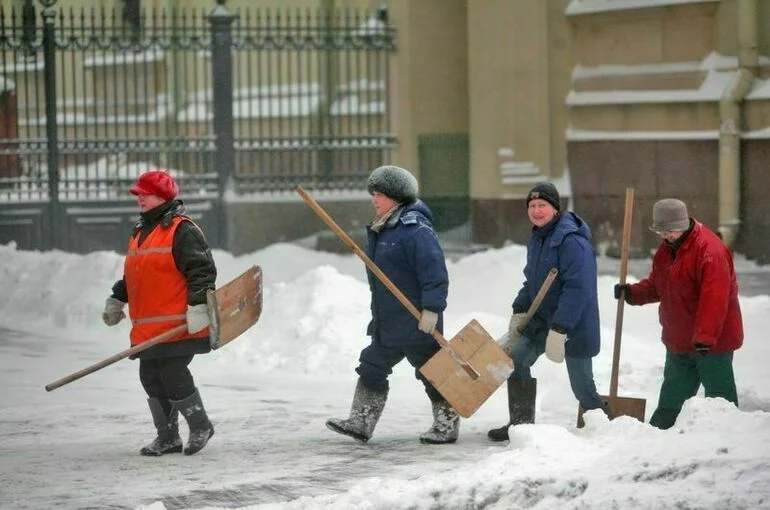 Зарплаты дворников в Петербурге поднимут до 100 тысяч рублей