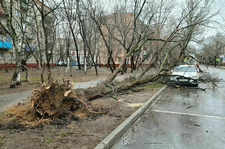Москвичей предупредили о штормовом ветре 14 марта