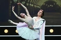 Не сходит москвич на балет, когда с собой паспорта нет