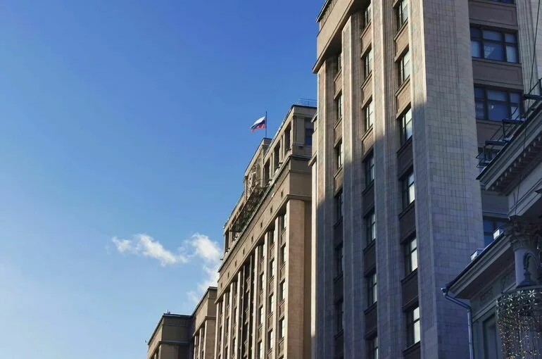 Госдума приняла обращение к Мишустину по вопросу бездомных животных