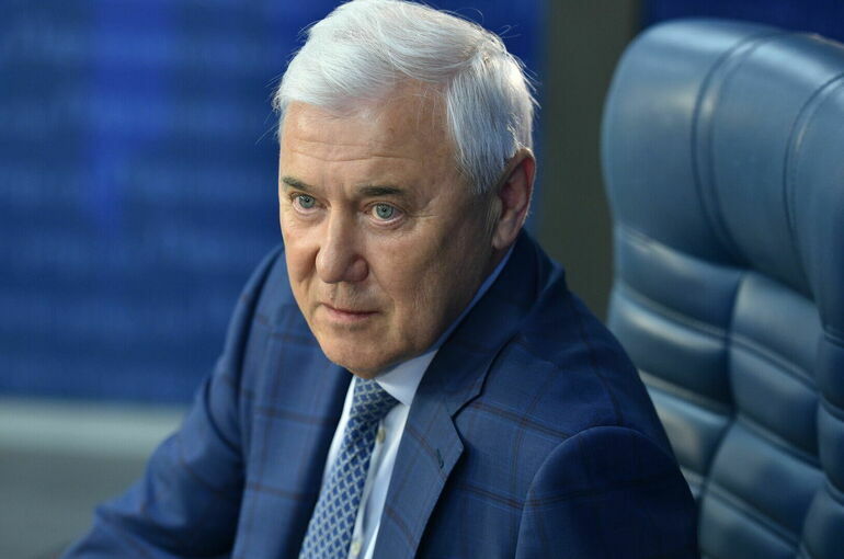 Депутат Аксаков рассказал, как сделать эффективнее борьбу с кибермошенниками