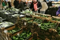 Огурцы за неделю подешевели на 11%