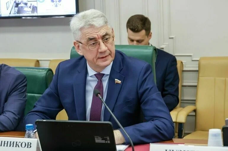 Сенатор Калашников призвал разработать программу развития судоходства по Амуру