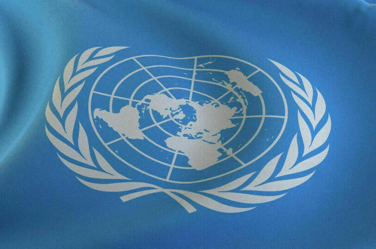 Что такое внешнее управление над Украиной под эгидой ООН
