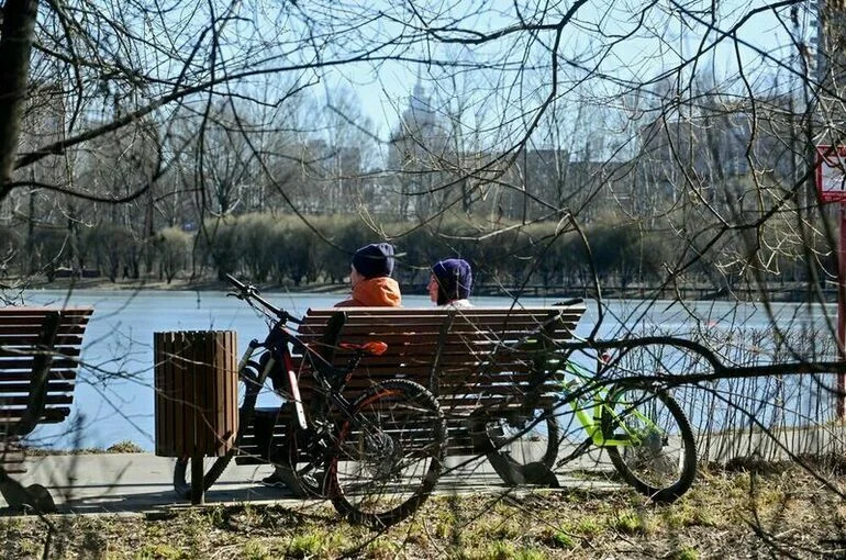 Москвичам пообещали сухую и теплую погоду на выходных