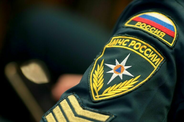 Ничего личного: в МЧС рассказали, как будут использовать автомобили граждан