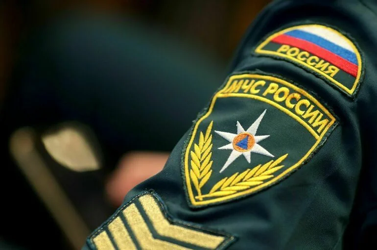 Ничего личного: в МЧС рассказали, как будут использовать автомобили граждан