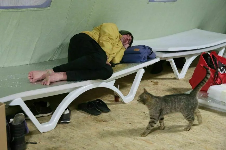 Птица вольная: почему бездомные не хотят уходить с улиц