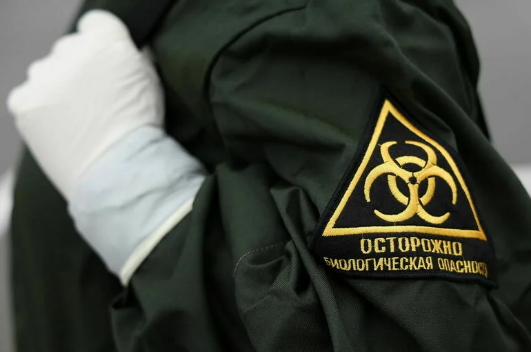 Холера в Московской области: стоит ли опасаться распространения 