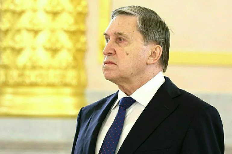 Ушаков: Беседа Путина и Уиткоффа сблизила позиции России и США