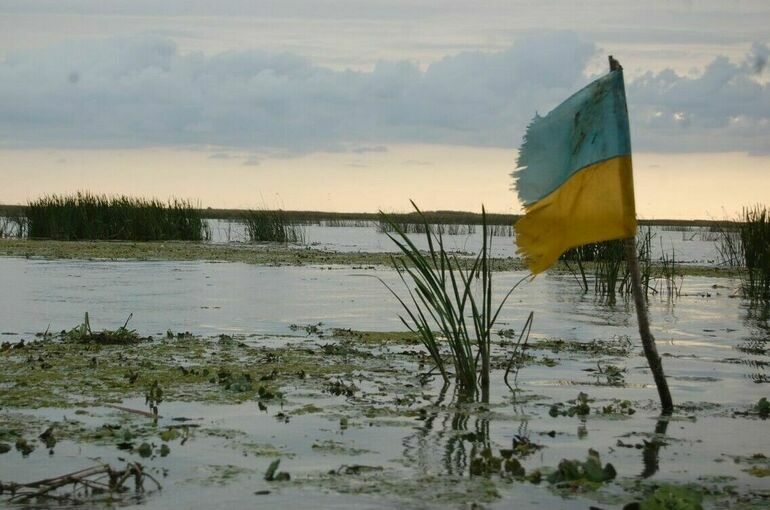 Украинских военкомов без боевого опыта отправят на фронт