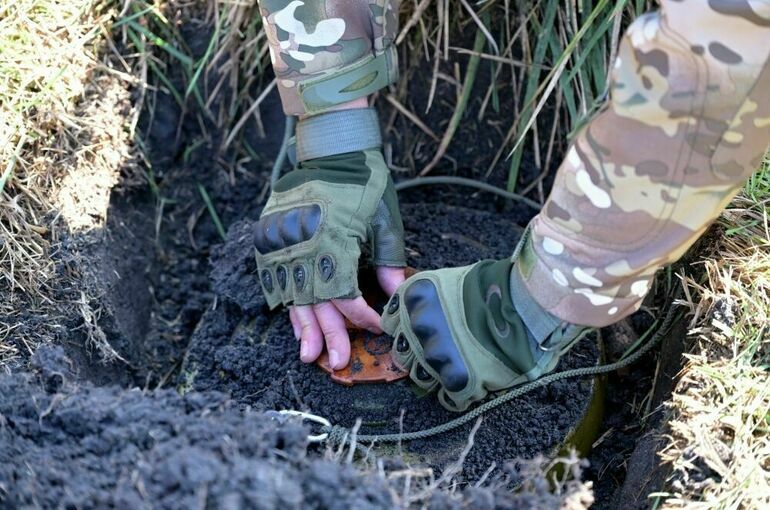 Литва вышла из конвенции по противопехотным минам