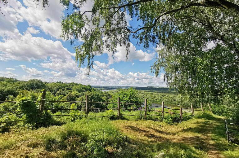 На особо охраняемые природные территории предложили распространить «лесную амнистию»