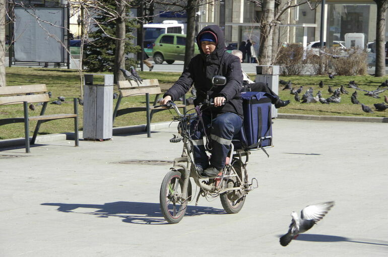 В России утвердили план по противодействию нелегальной занятости до 2027 года