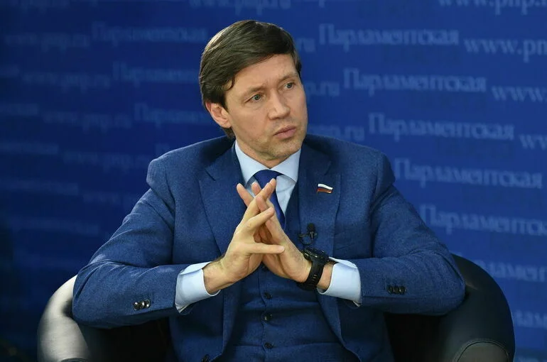 Сенатор Шейкин считает, что РФ нужна стратегия цифровизации судебной системы