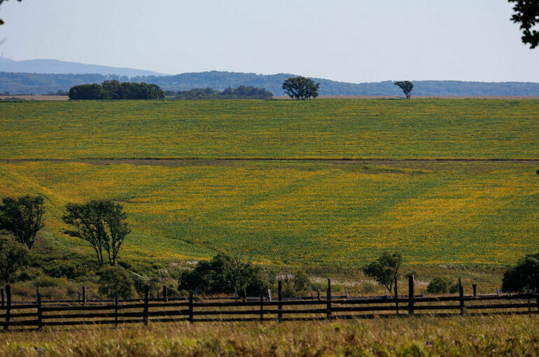 В Госдуму внесли законопроект об оценке стоимости изымаемых за нарушения земель