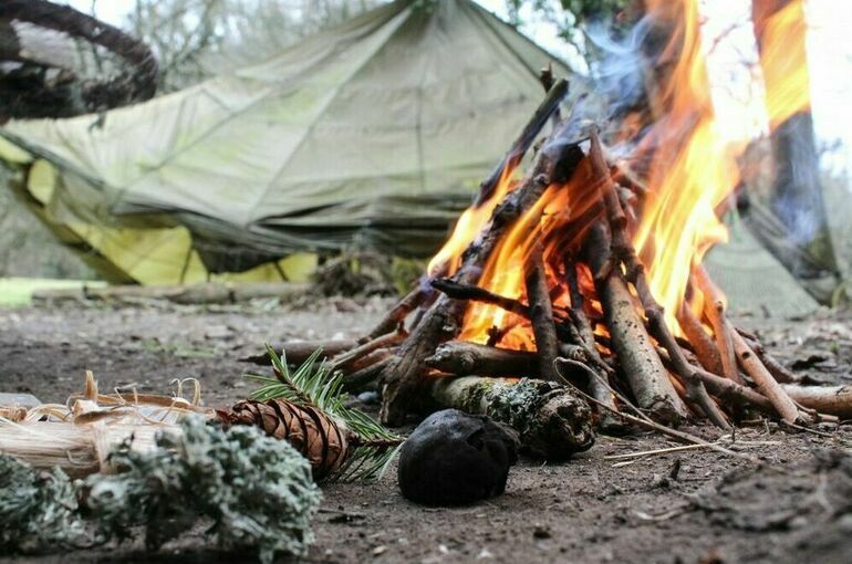 В Подмосковье запретили разводить костры и сжигать мусор