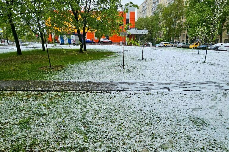 Москвичам спрогнозировали мокрый снег и +22 градуса тепла на выходных